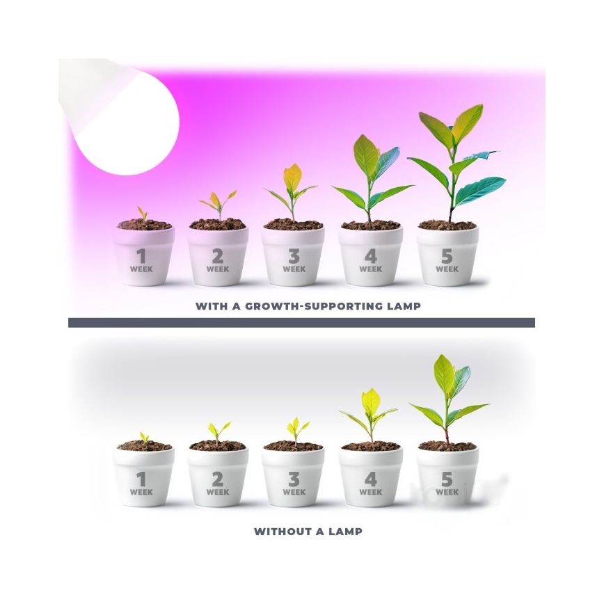 LED Bulb for plant growth PLANTY E27/11W/230V 1200K white