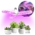 LED Bulb for plant growth PLANTY E27/24W/230V 1200K