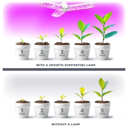 LED Bulb for plant growth PLANTY E27/24W/230V 1200K