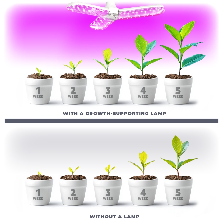 LED Bulb for plant growth PLANTY E27/24W/230V 1200K