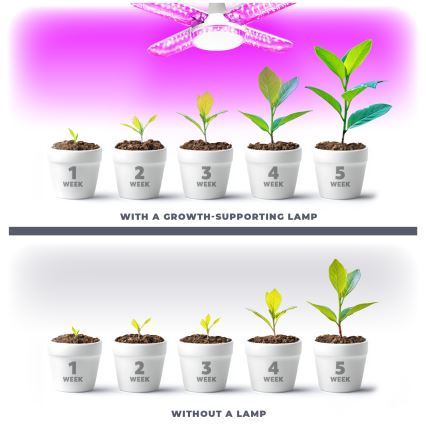 LED Bulb for plant growth PLANTY E27/40W/230V 1200K