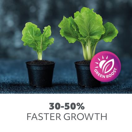LED Bulb for plant growth PLANTY E27/40W/230V 1200K