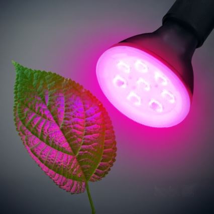 LED Bulb for plant growth PLANTY E27/7W/230V 1200K black