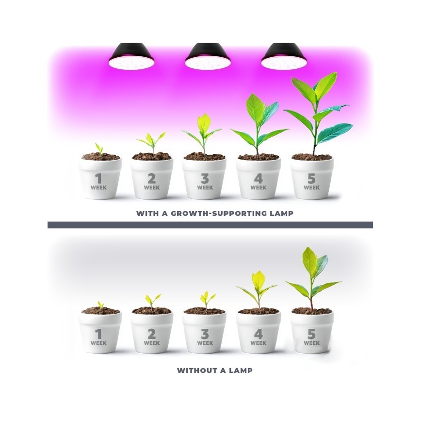 LED Bulb for plant growth PLANTY E27/7W/230V 1200K black