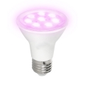 LED Bulb for plant growth PLANTY E27/7W/230V 1200K white