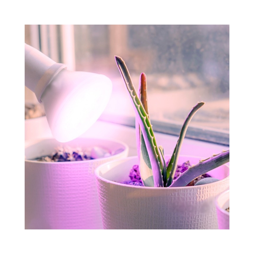 LED Bulb for plant growth PLANTY E27/7W/230V 1200K white