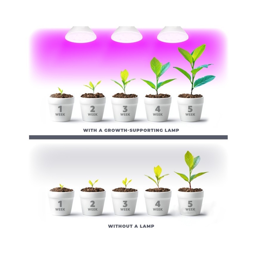 LED Bulb for plant growth PLANTY E27/7W/230V 1200K white