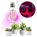 LED Bulb for plant growth PLANTY E27/8W/230V 1200K