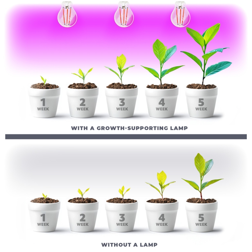 LED Bulb for plant growth PLANTY E27/8W/230V 1200K