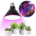 LED Bulb for plant growth PLANTY E27/9W/230V 1200K black
