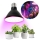 LED Bulb for plant growth PLANTY E27/9W/230V 1200K black