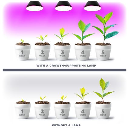 LED Bulb for plant growth PLANTY E27/9W/230V 1200K black