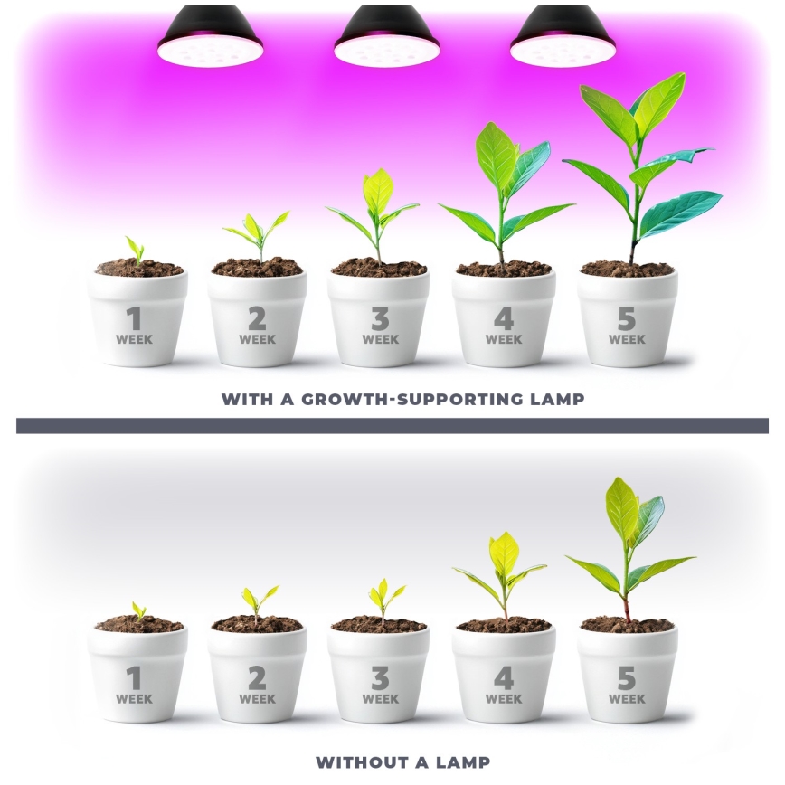 LED Bulb for plant growth PLANTY E27/9W/230V 1200K black