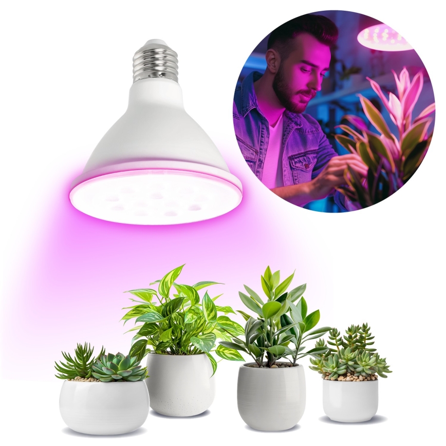 LED Bulb for plant growth PLANTY E27/9W/230V 1200K white