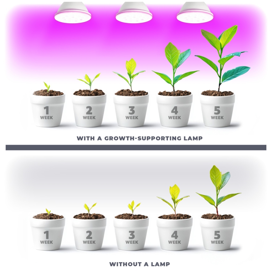 LED Bulb for plant growth PLANTY E27/9W/230V 1200K white