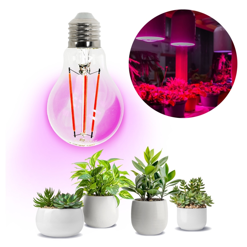 LED Bulb for plant growth VITABLOOM E27/8W/230V 1200K - Brilagi