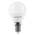 LED Bulb G45 E14/7W/230V 4000K