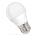 LED Bulb G45 E27/4W/230V 6000K