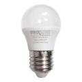 LED Bulb G45 E27/6W/230V 2700K