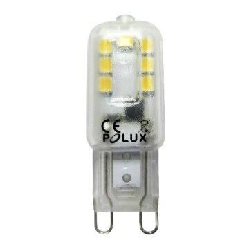 LED bulb G9/2.5W/230V 6400K