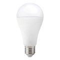 LED Bulb GS E27/17W/230V 6500K