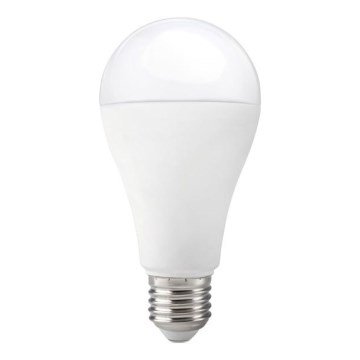 LED Bulb GS E27/17W/230V 6500K