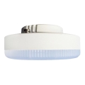 LED Bulb GX53/11W/230V 4000K