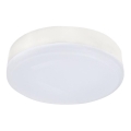 LED Bulb GX53/6.4W/230V 4000K
