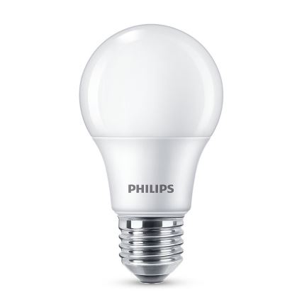 LED Bulb Philips A60 E27/7W/230V 6500K