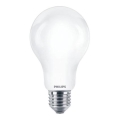 LED Bulb Philips A67 E27/17,5W/230V 2700K
