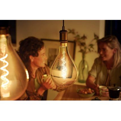 LED bulb Philips E27/5W/230V 2000K - VINTAGE