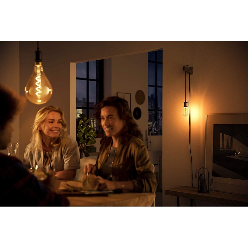 LED bulb Philips E27/5W/230V 2000K - VINTAGE