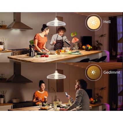LED Bulb Philips Hue WHITE E67 E27/15,5W/230V 2700K