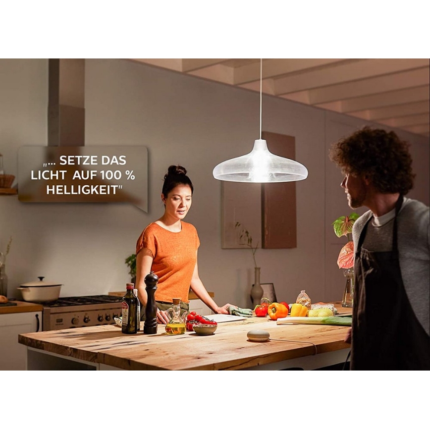 LED Bulb Philips Hue WHITE E67 E27/15,5W/230V 2700K