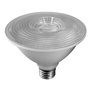 LED Bulb SAMSUNG CHIP PAR30 E27/11W/230V 6500K