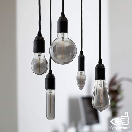 LED Bulb SMOKY VINTAGE Philips T32 E27/2.3W/230V 1800K