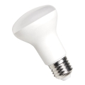 LED Bulb SPECTRUM R63 E27/8W/230V 6000K