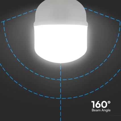 LED Bulb T160 E27/60W/230V 6500K