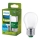 LED Bulb ULTRAEFFICIENT Philips P45 E27/3,8W/230V 2700K