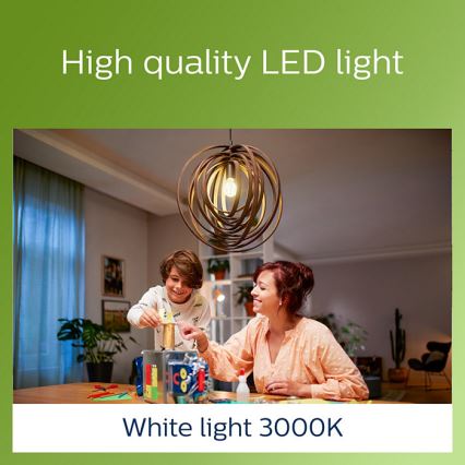 LED Bulb VINTAGE Philips A60 E27/4W/230V 3000K