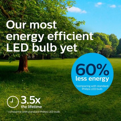 LED Bulb VINTAGE Philips A60 E27/4W/230V 3000K