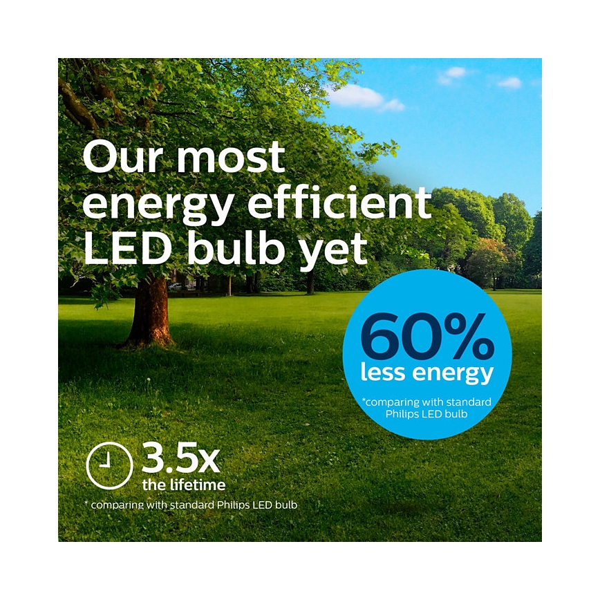 LED Bulb VINTAGE Philips A60 E27/4W/230V 3000K