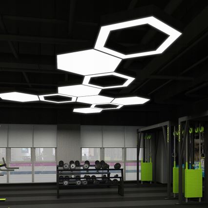 LED cable pendant light LED/20W/230V black