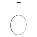LED Cable-Suspended Chandelier SATURNO LED/46W/230V Ø 80 cm IP44 Black