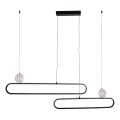 LED cable-suspended pendant light FLORENTYNA LED/48W/230V 4000K black/white