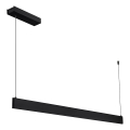 LED Cable-Suspended Pendant LINEA LED/36W/230V 3000/4000/5700K CRI 90 Black