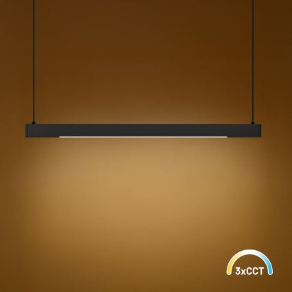 LED Cable-Suspended Pendant LINEA LED/36W/230V 3000/4000/5700K CRI 90 Black