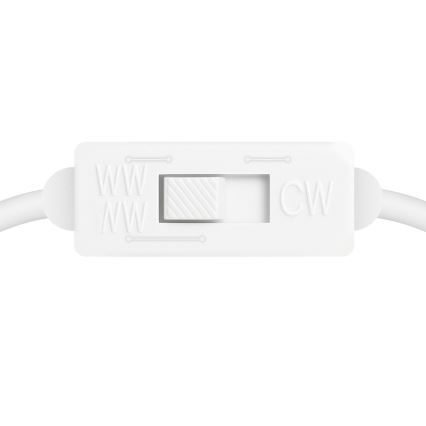 LED Cable-Suspended Pendant LINEA LED/36W/230V 3000/4000/5700K CRI 90 Black