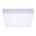 LED Ceiling Light 12W/230V 3000/4000/6000K 17x17 cm White