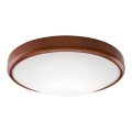 LED Ceiling light 1xLED/24W/230V